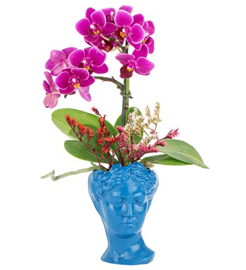 Mini Helen Serisi Tek Dal Orkide Tasarım - Kobalt Mavi 