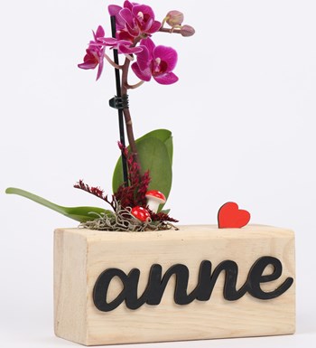 Anneye Özel Wood Serisi Mini Orkide Tasarım