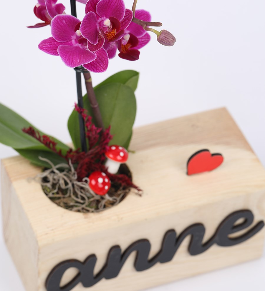 Anneye Özel Wood Serisi Mini Orkide Tasarım