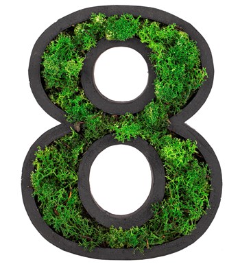 Kişiye Özel 4'lü Rakam Saksıda Solmayan Dried Preserved Moss Tasarım - Yeşil