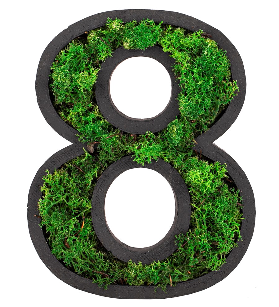 Kişiye Özel 4'lü Rakam Saksıda Solmayan Dried Preserved Moss Tasarım - Yeşil