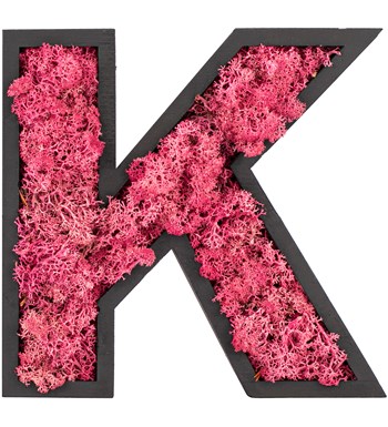 Kişiye Özel Harf Saksıda Solmayan Dried Preserved Moss Tasarım - Pembe 