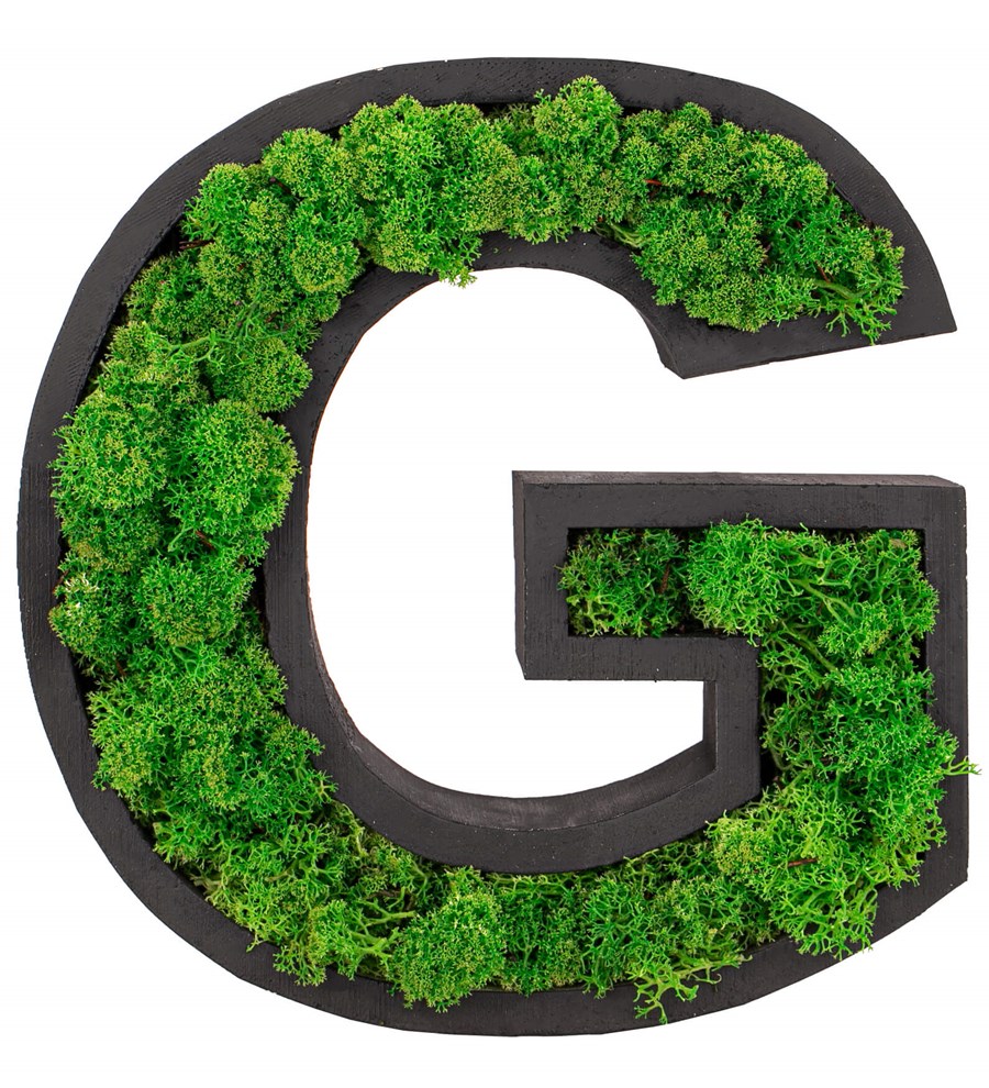 Kişiye Özel Harf Saksıda Sen ve Ben Solmayan Dried Preserved Moss Tasarım - Yeşil