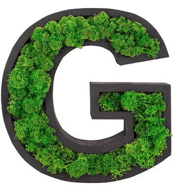 Kişiye Özel Harf Saksıda Kalpli Solmayan Dried Preserved Moss Tasarım - Yeşil