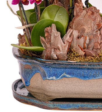 Art of Ceramic Series - Mini Mor Orkideler 