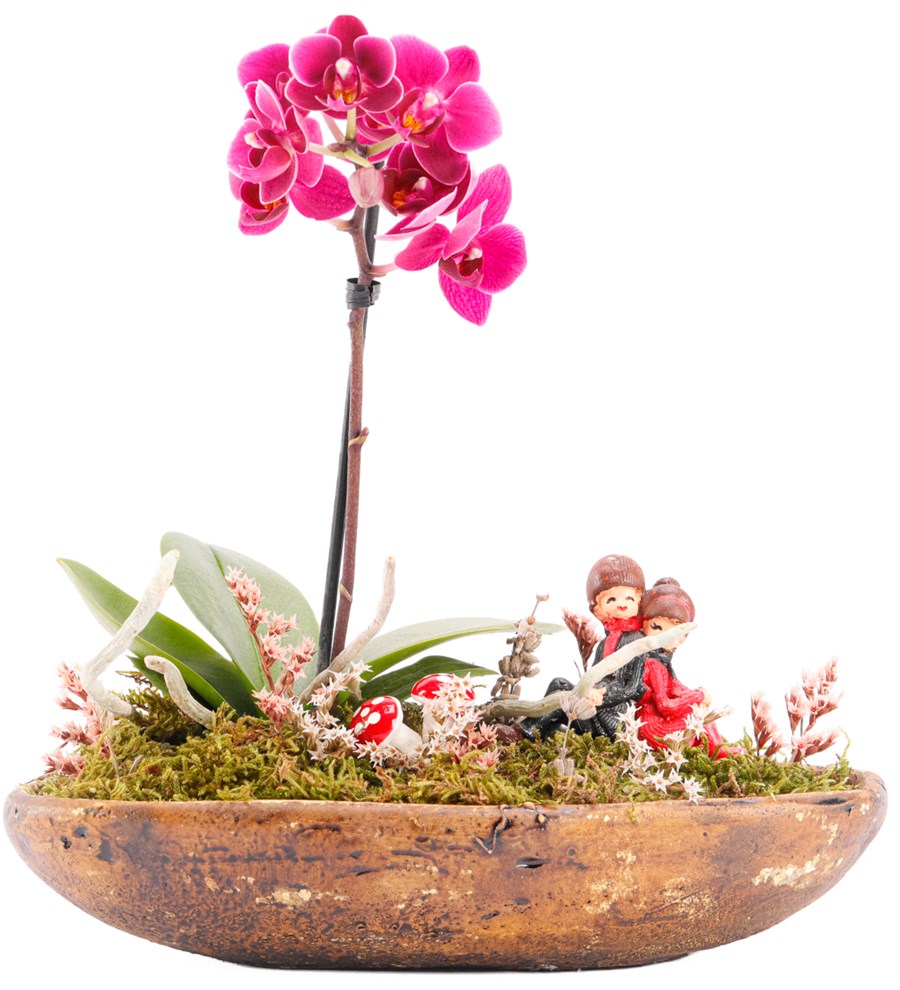 Dekor Serisi Sırt Sırta Mini Mor Orkide Tasarım