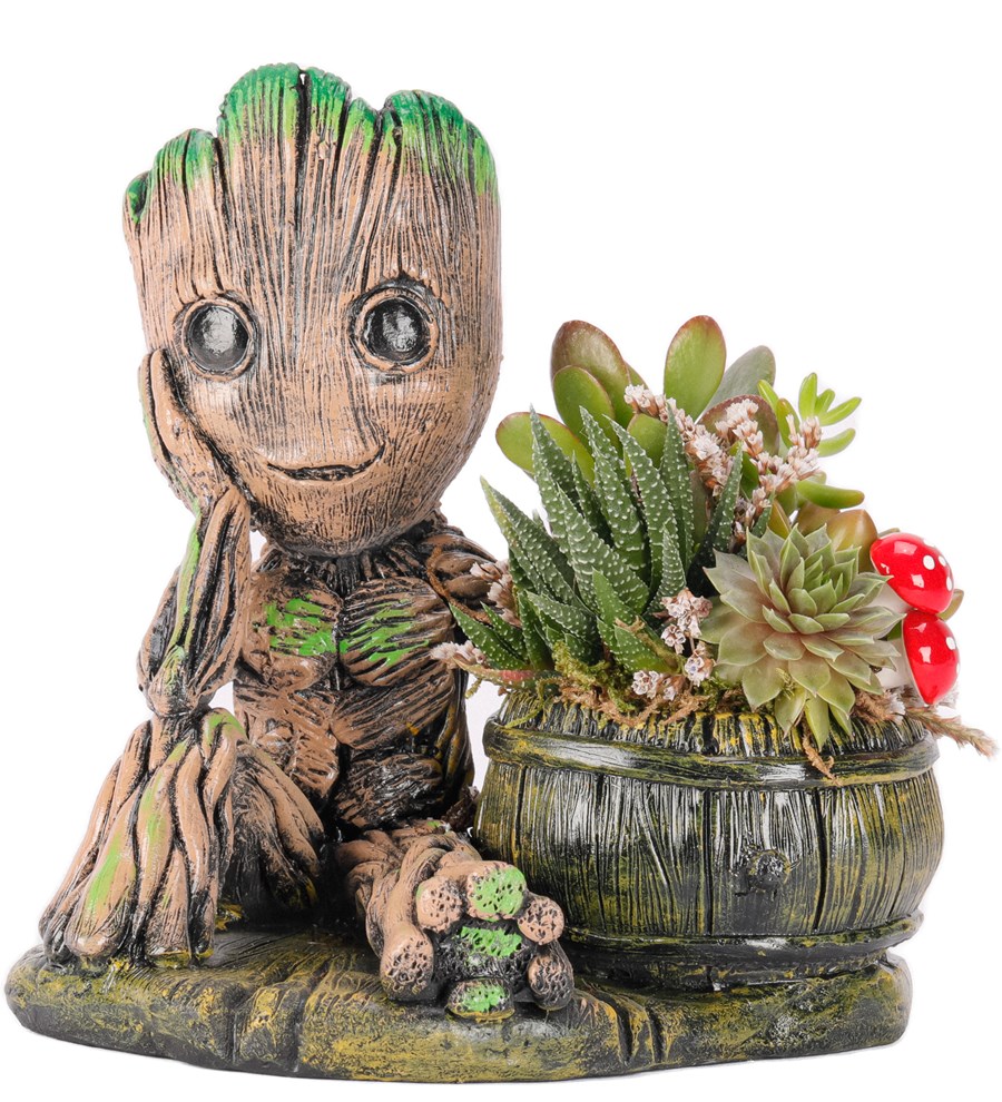 Baby Groot Serisi Mix Sukulent Tasarım