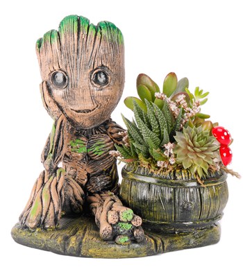 Baby Groot Serisi Mix Sukulent Tasarım