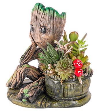 Baby Groot Serisi Mix Sukulent Tasarım