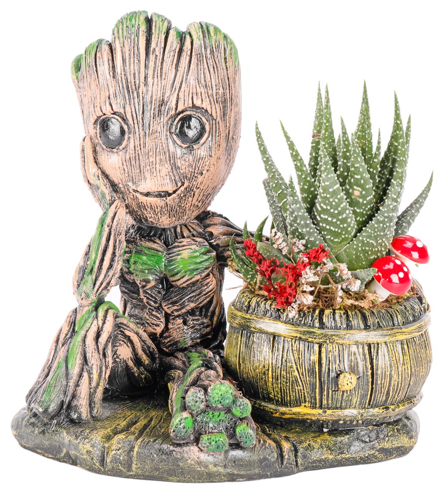 Baby Groot Serisi Haworthia Tasarım