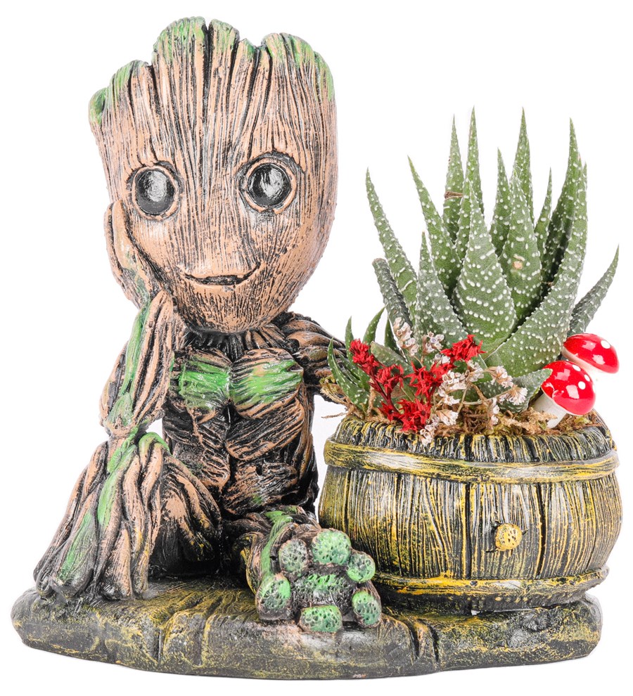 Baby Groot Serisi Haworthia Tasarım