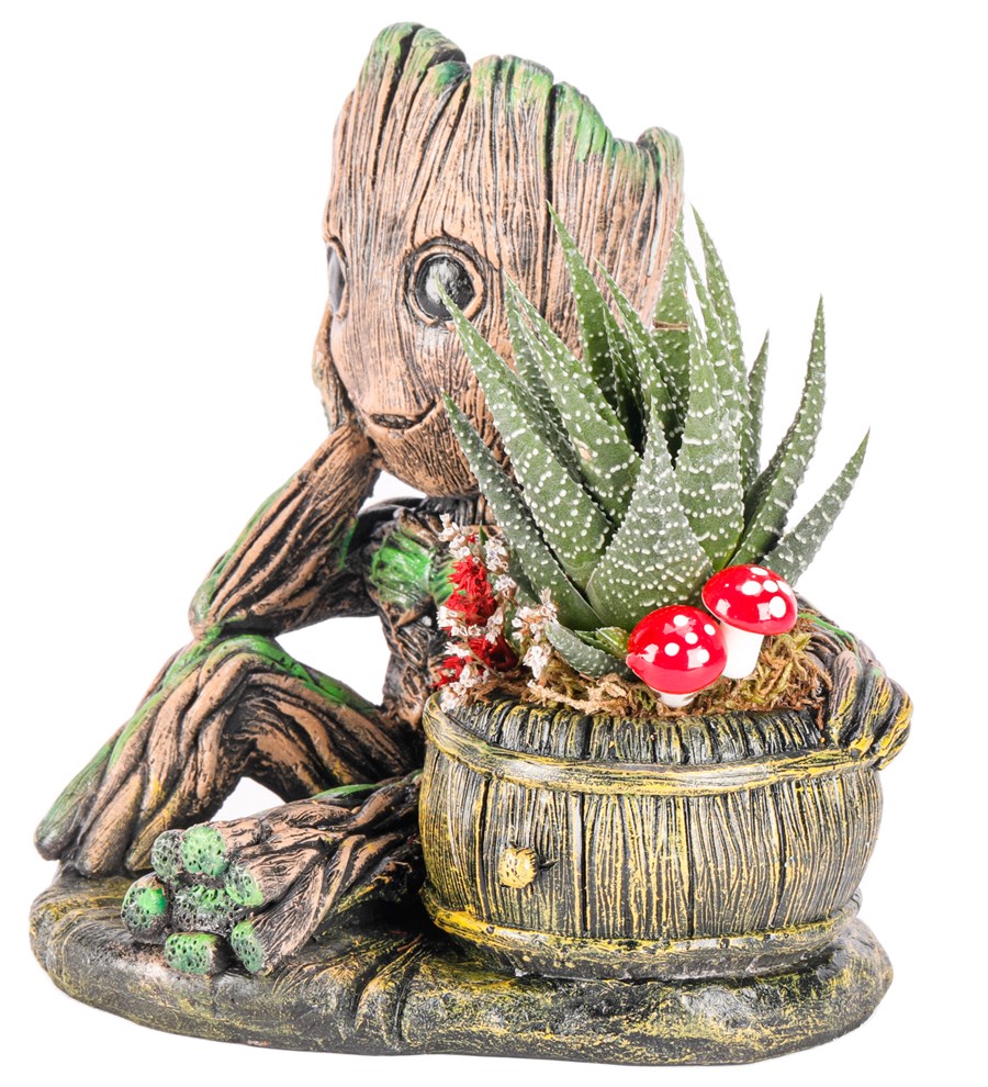 Baby Groot Serisi Haworthia Tasarım