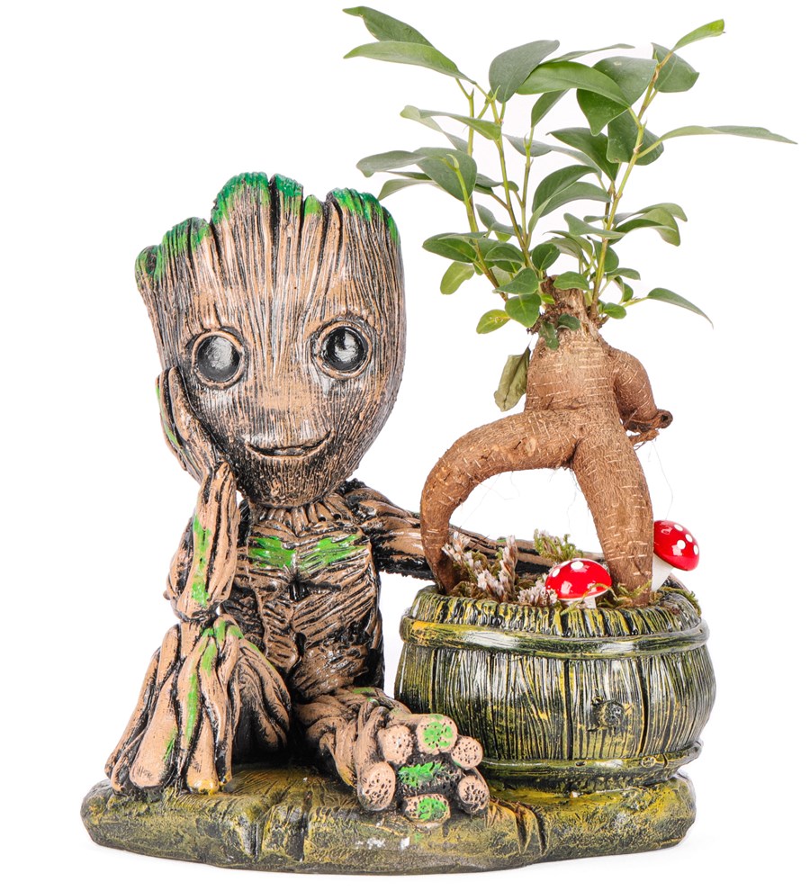 Baby Groot Serisi Mini Ficus Ginseng Bonsai Tasarım 