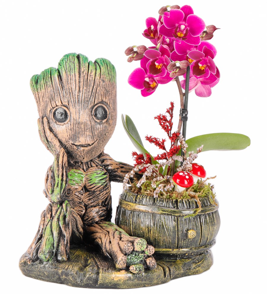 Baby Groot Serisi Mini Orkide Tasarım