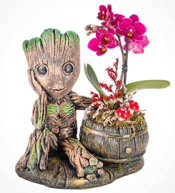 Baby Groot Serisi Mini Orkide Tasarım