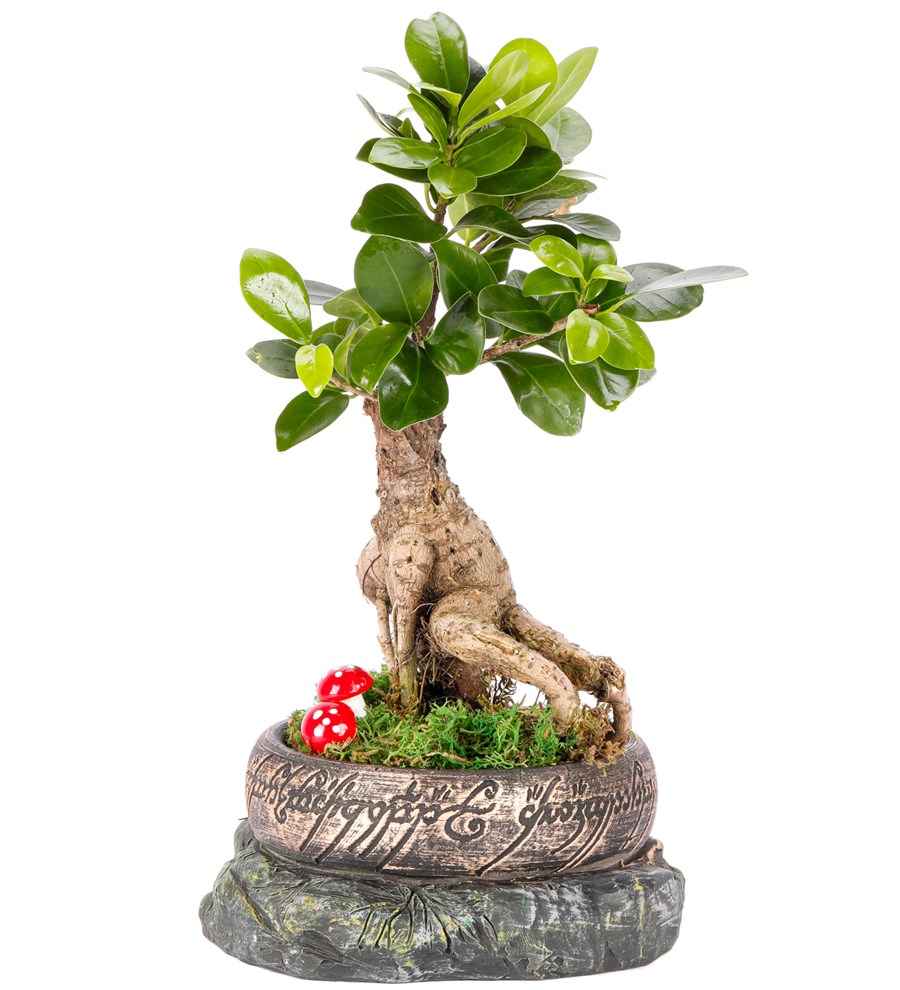 Yüzüklerin Efendisi Güç Yüzükleri - Tek Yüzük Serisi Ficus Ginseng Bonsai Tasarım