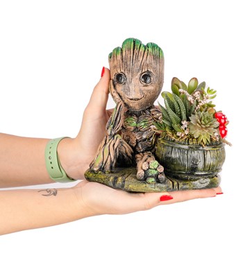 Baby Groot Serisi Mix Sukulent Tasarım