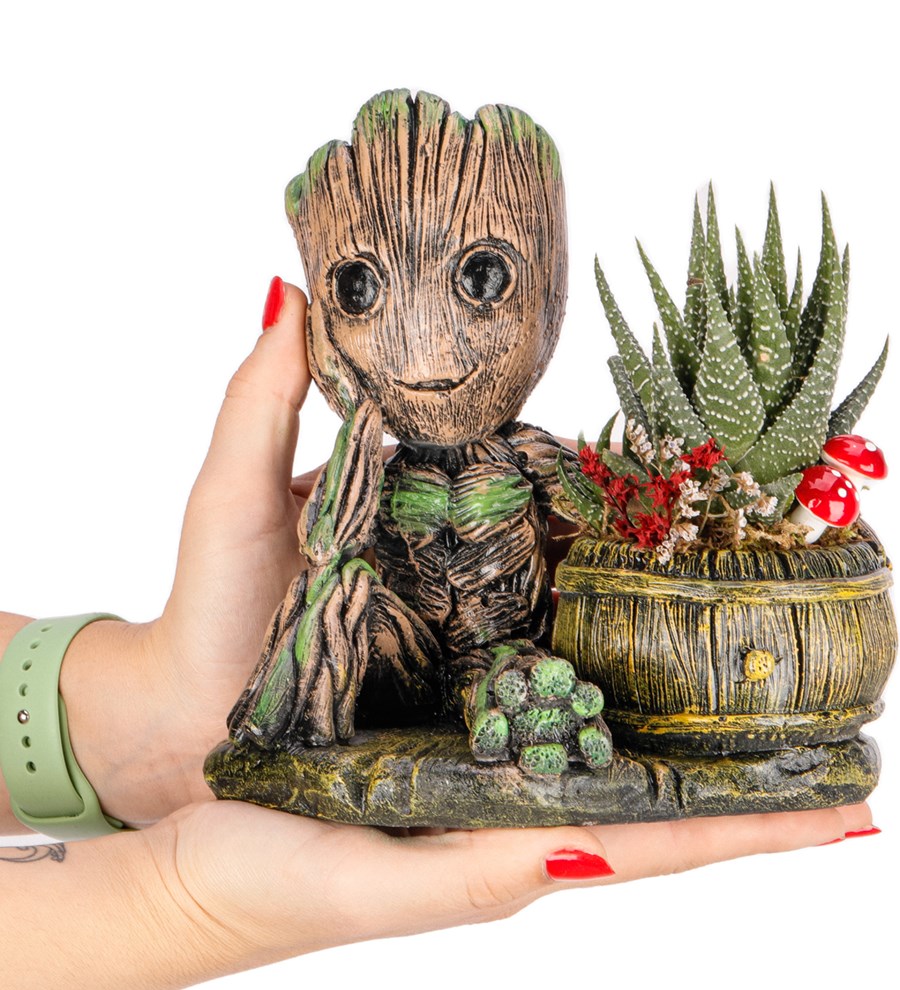 Baby Groot Serisi Haworthia Tasarım