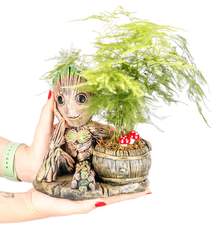 Baby Groot Serisi Asparagus Tasarım 