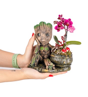 Baby Groot Serisi Mini Orkide Tasarım