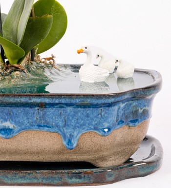Art of Ceramic Series - Mini Mor Orkideli Teraryum