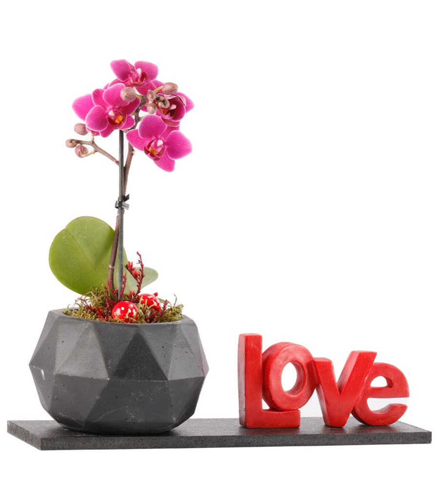 Love Serisi Mini Geometrik Orkide Tasarım