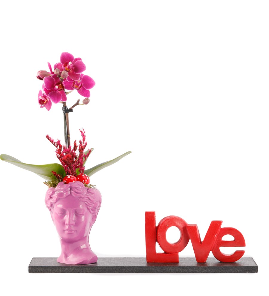 Love Serisi Mini Helen ve Orkide Tasarım