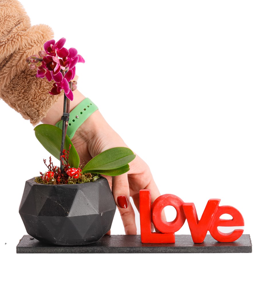 Love Serisi Mini Geometrik Orkide Tasarım