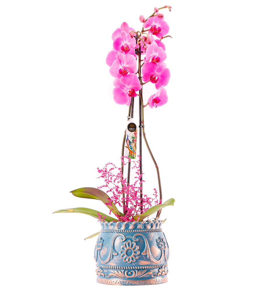 Trevi Barok Serisi Premium İthal 80 cm Çift Dal Mor Orkide Tasarım