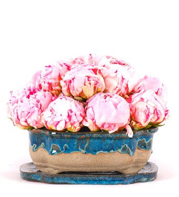 Art of Ceramic Series - Şakayık (Peony) Tasarım 