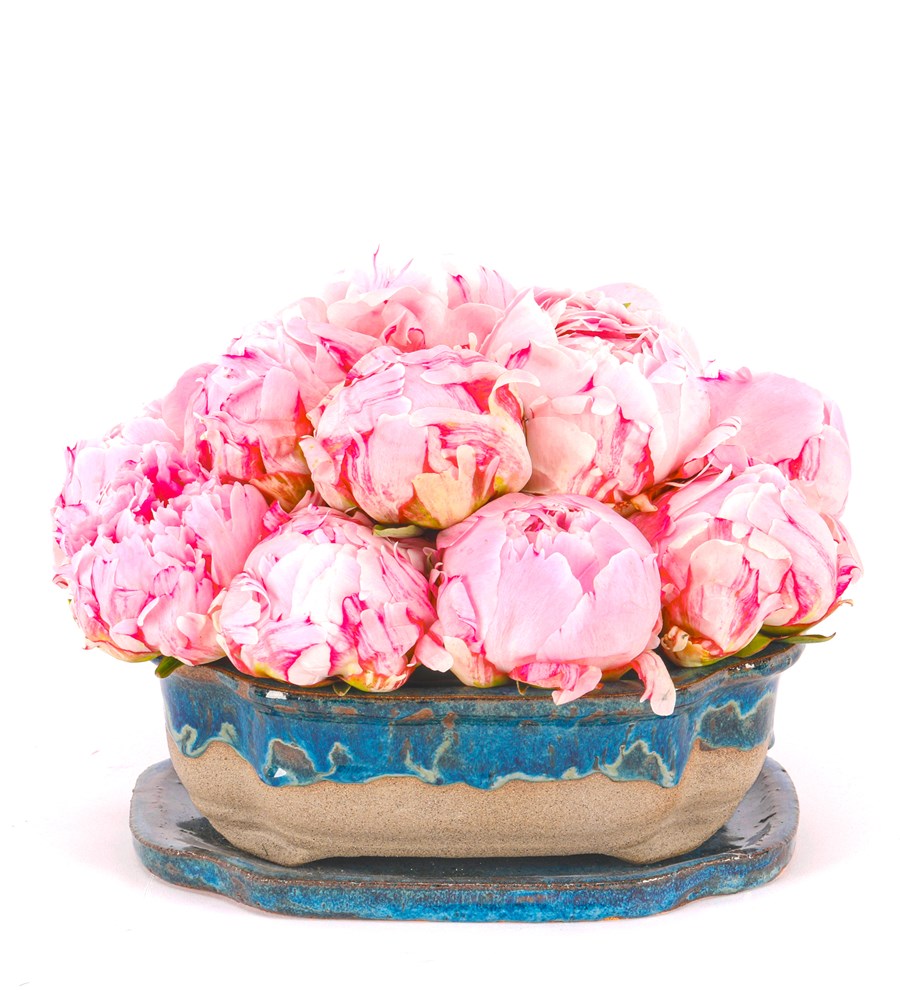 Art of Ceramic Series - Şakayık (Peony) Tasarım 