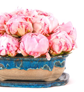 Art of Ceramic Series - Şakayık (Peony) Tasarım 