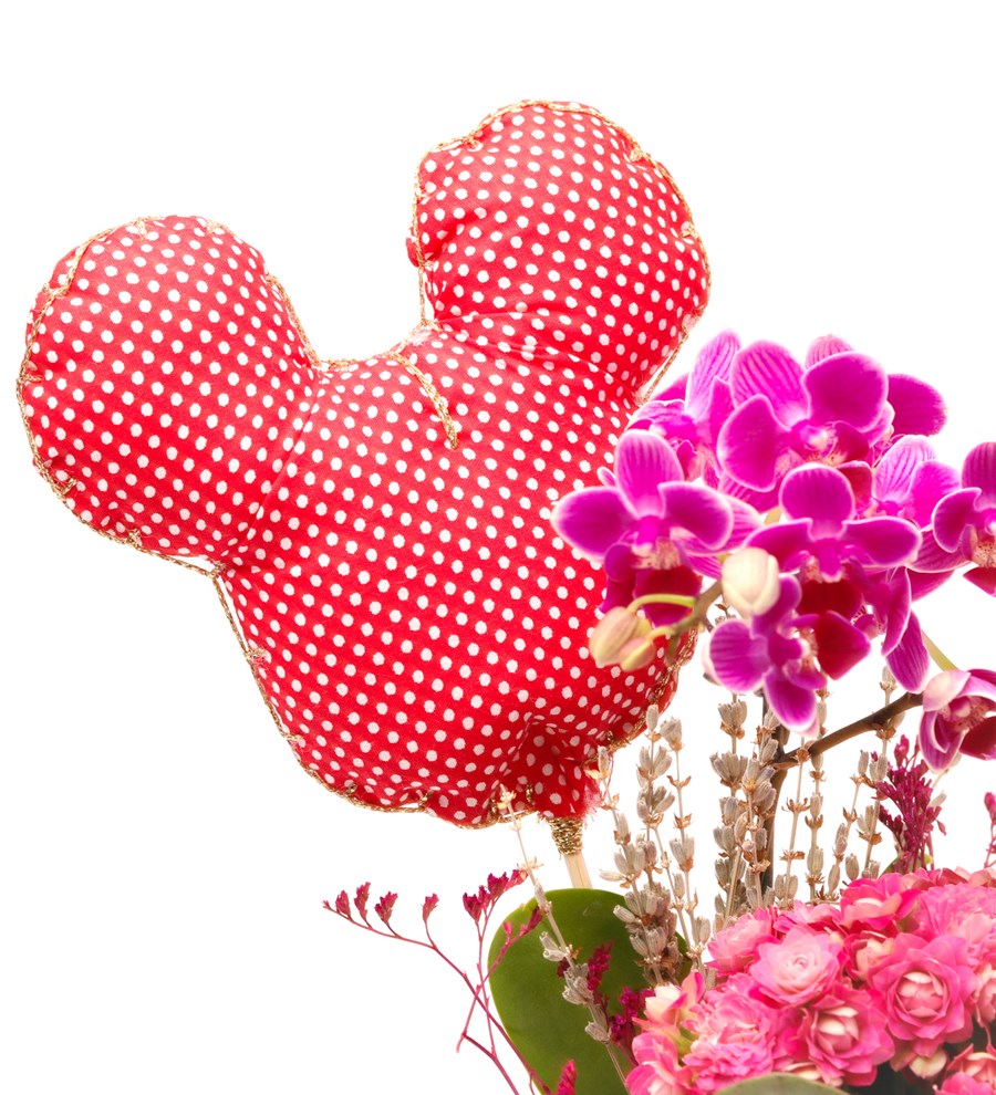 Mickey Mouse Figürlü Sweet Candy Serisi Mini Mor Orkide ve Kalanchoe Tasarım