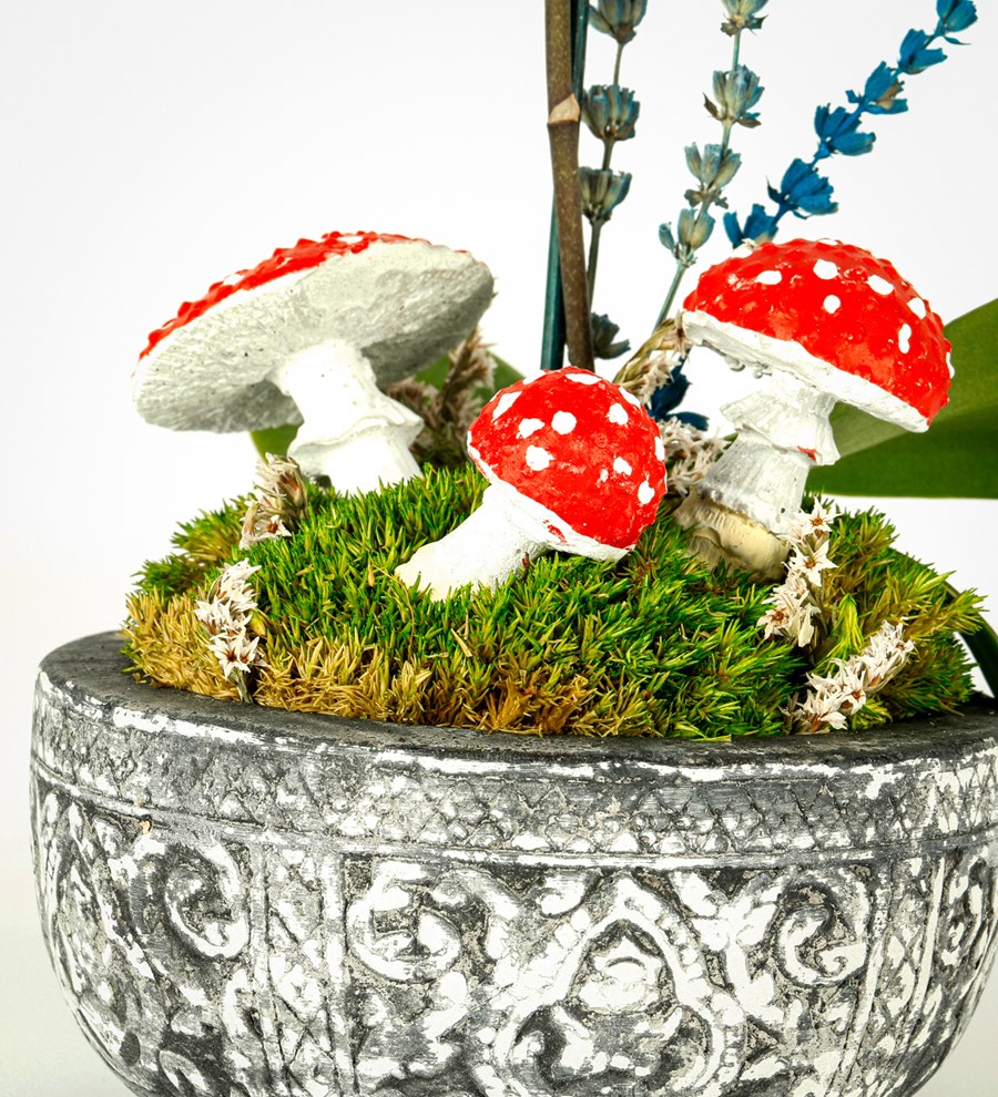Kayıp Hazineler Serisi Mini Orkide Tasarım - Mushroom Edition