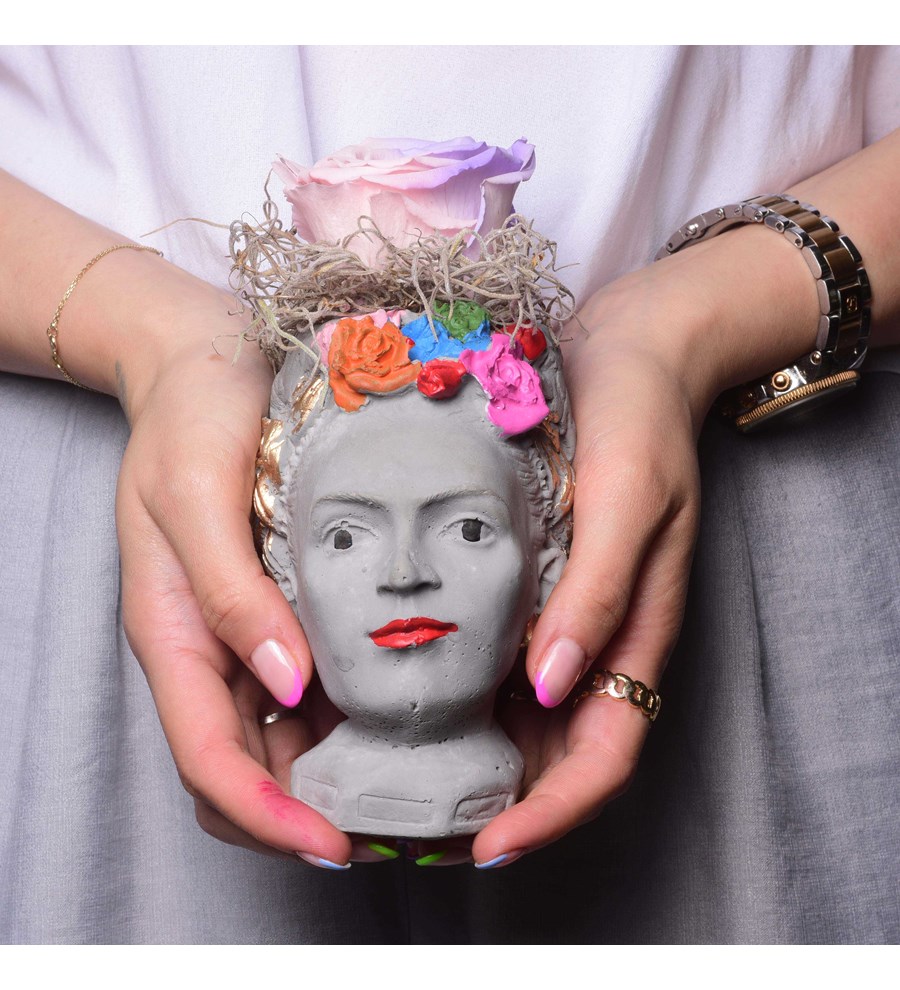 Frida Saksıda Pembe Lila Solmayan Gül