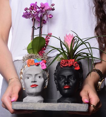 İkili Frida Saksıda Mini Mor Orkide ve Tillandsia