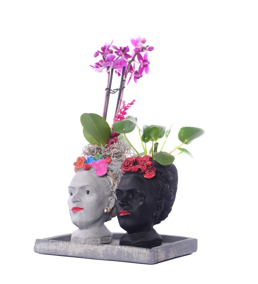 İkili Frida Saksıda Mini Mor Orkide ve Pilea