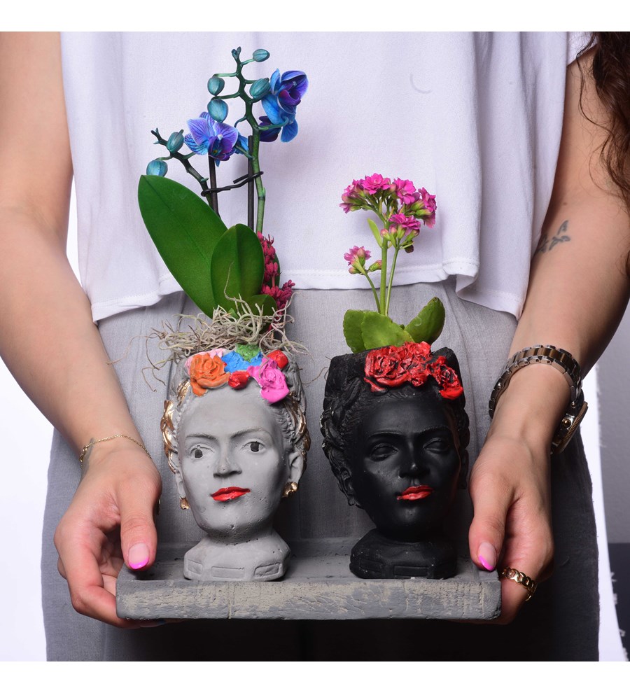 İkili Frida Saksıda Mini Mavi Orkide ve Kalanchoe