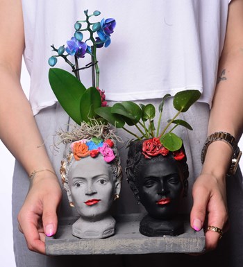 İkili Frida Saksıda Mini Mavi Orkide ve Pilea