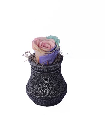 Vase in Ottoman Serisi Soft Rainbow Solmayan Gül