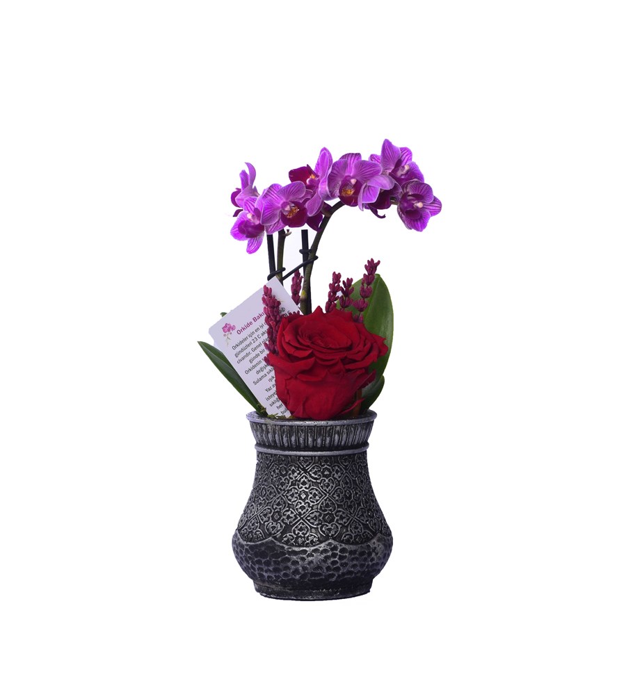 Vase in Ottoman Serisi Mini Mor Orkide ve Kırmızı Solmayan Gül 