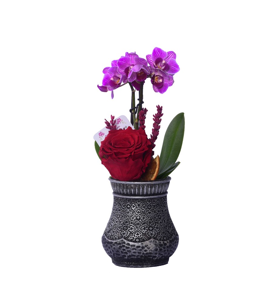 Vase in Ottoman Serisi Mini Mor Orkide ve Kırmızı Solmayan Gül 