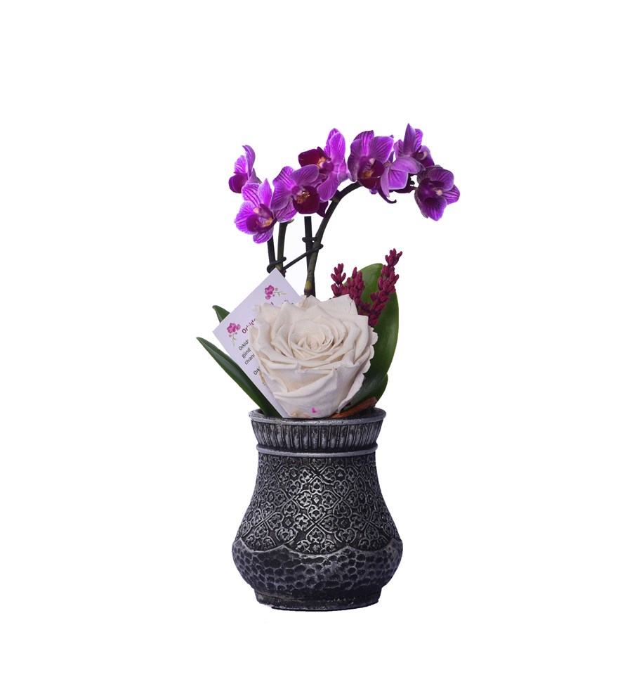 Vase in Ottoman Serisi Mini Mor Orkide ve Beyaz Solmayan Gül 