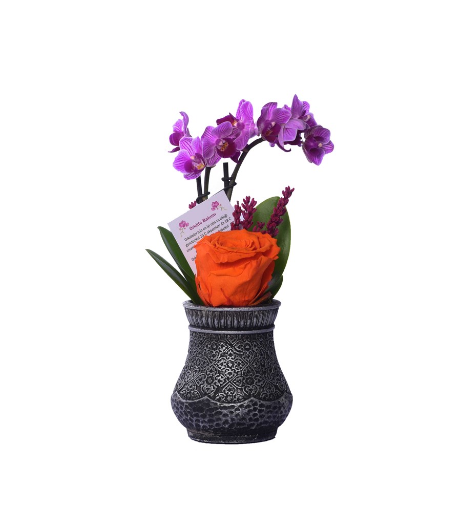 Vase in Ottoman Serisi Mini Mor Orkide ve Turuncu Solmayan Gül 