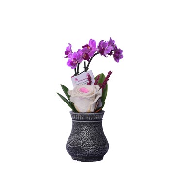 Vase in Ottoman Serisi Mini Mor Orkide ve Pinky Solmayan Gül