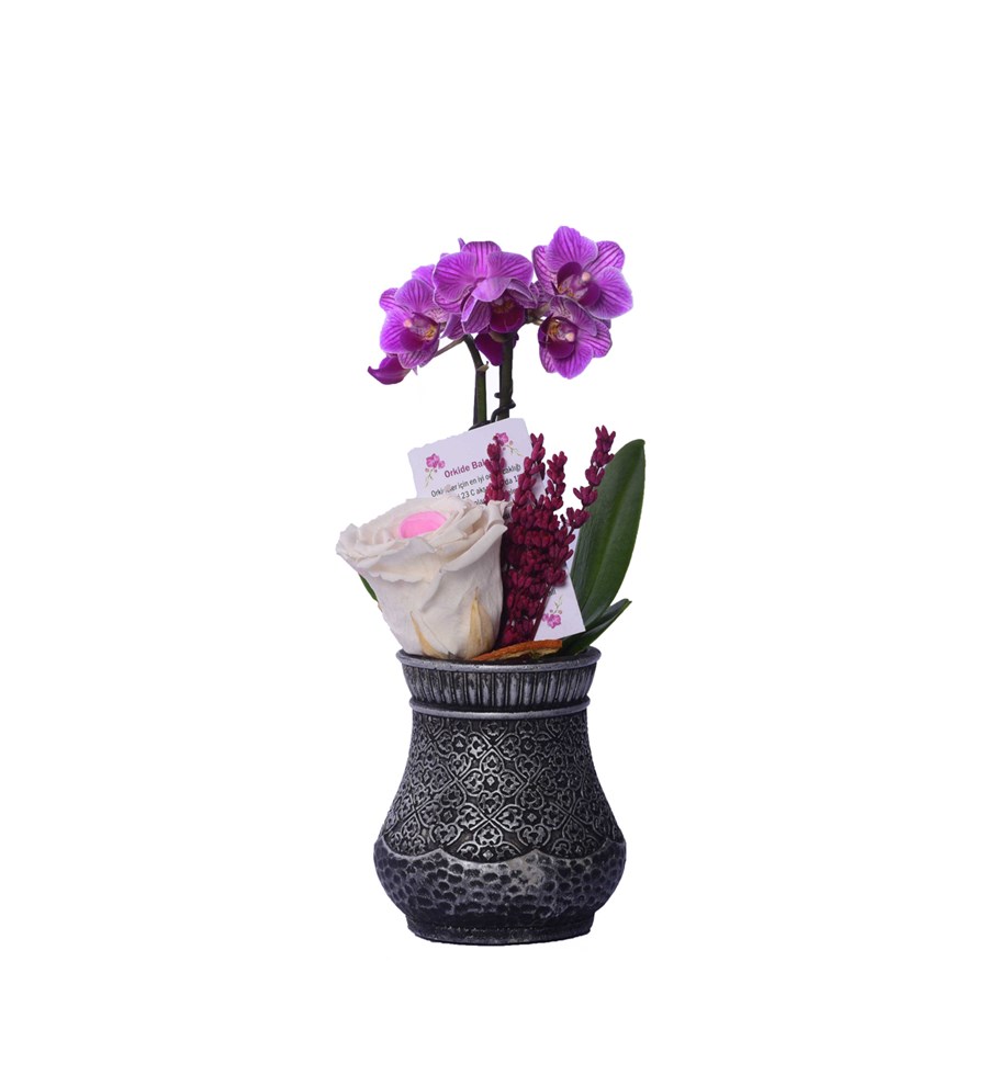 Vase in Ottoman Serisi Mini Mor Orkide ve Pinky Solmayan Gül Kişiye Özel