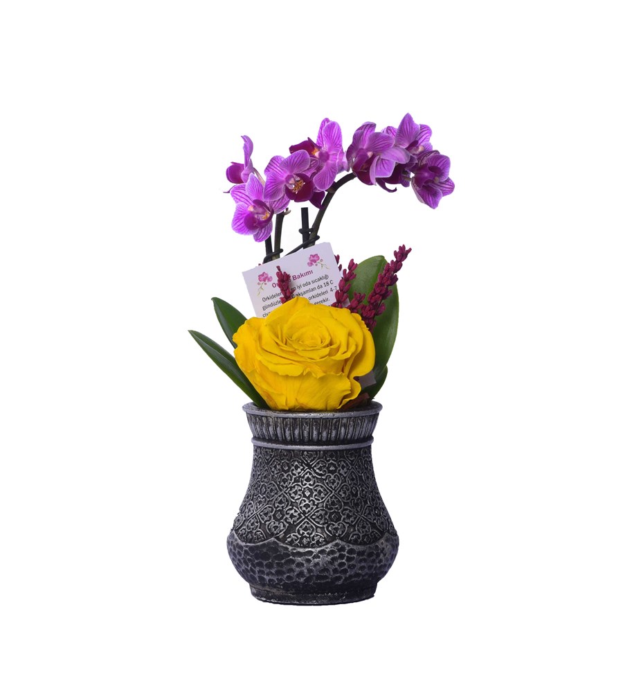 Vase in Ottoman Serisi Mini Mor Orkide ve Sarı Solmayan Gül 