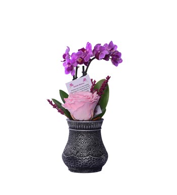 Vase in Ottoman Serisi Mini Mor Orkide ve Pembe Solmayan Gül