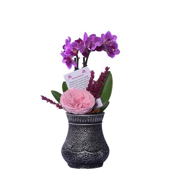 Vase in Ottoman Serisi Mini Mor Orkide ve Katmerli Pembe Solmayan Gül 