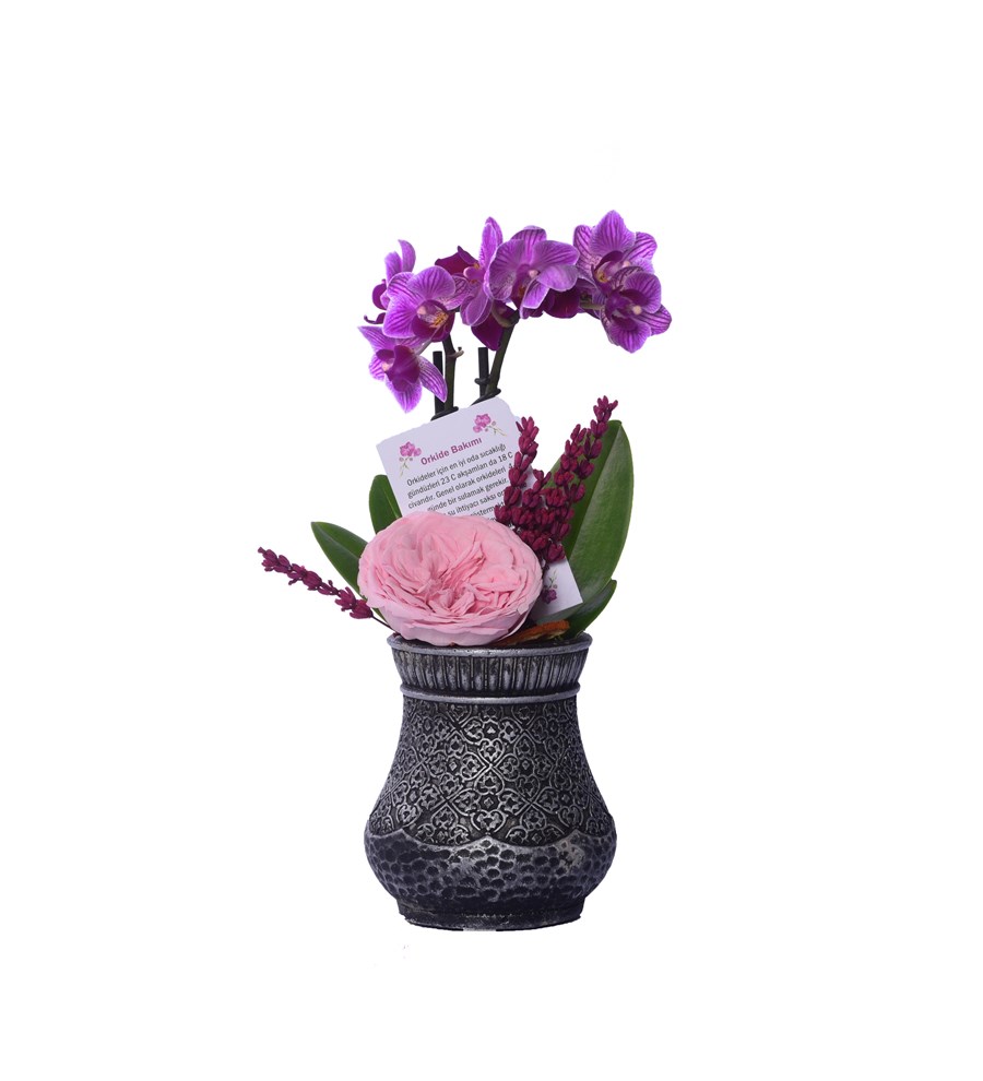 Vase in Ottoman Serisi Mini Mor Orkide ve Katmerli Pembe Solmayan Gül 